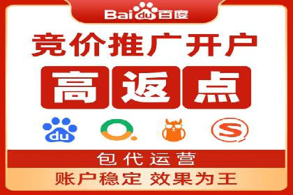 专业SEM托管：成功提升广告效果的案例分析